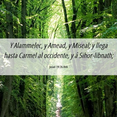 Picture 06 - Josué 19:26 RVA - Y Alammelec, y Amead, y Miseal; y llega hasta - Bible Verse Picture