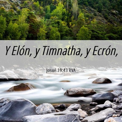 Picture 06 - Josué 19:43 RVA - Y Elón, y Timnatha, y - Bible Verse Picture