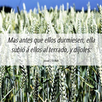 Picture 06 - Josué 2:8 RVA - Mas antes que ellos durmiesen, ella subió á - Bible Verse Picture