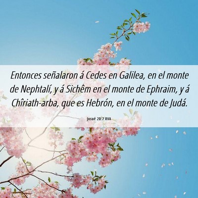 Picture 06 - Josué 20:7 RVA - Entonces señalaron á Cedes en Galilea, en el - Bible Verse Picture