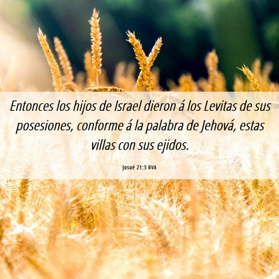 Picture 06 - Josué 21:3 RVA - Entonces los hijos de Israel dieron á los - Bible Verse Picture