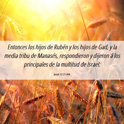 Picture 06 - Josué 22:21 RVA - Entonces los hijos de Rubén y los hijos de Gad, - Bible Verse Picture