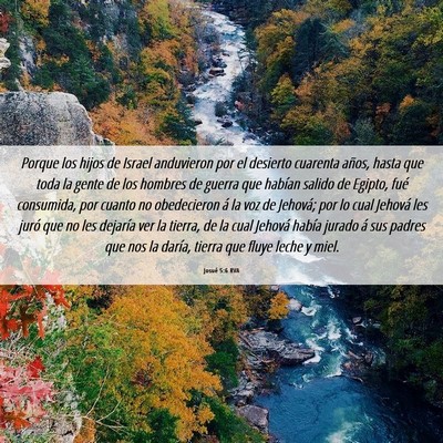 Picture 06 - Josué 5:6 RVA - Porque los hijos de Israel anduvieron por el - Bible Verse Picture