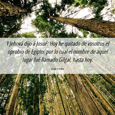 Picture 06 - Josué 5:9 RVA - Y Jehová dijo á Josué: Hoy he quitado de - Bible Verse Picture