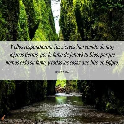 Picture 06 - Josué 9:9 RVA - Y ellos respondieron: Tus siervos han venido de - Bible Verse Picture