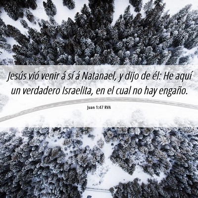 Picture 06 - Juan 1:47 RVA - Jesús vió venir á sí á Natanael, y dijo de - Bible Verse Picture