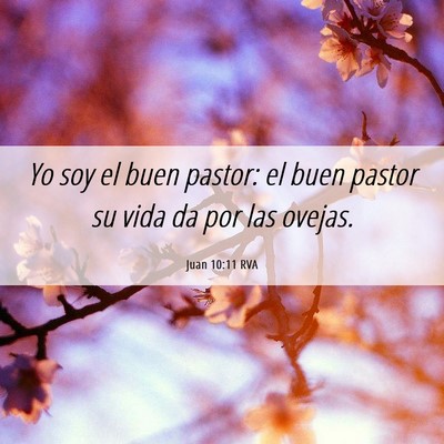 Picture 06 - Juan 10:11 RVA - Yo soy el buen pastor: el buen pastor su vida da - Bible Verse Picture