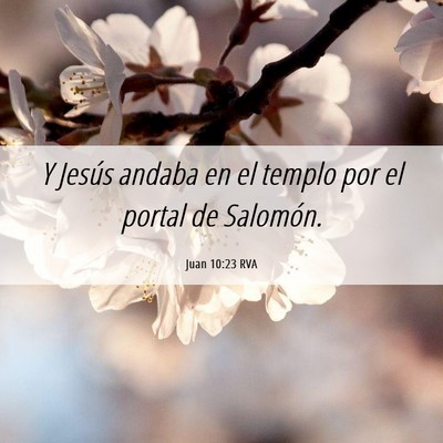 Picture 06 - Juan 10:23 RVA - Y Jesús andaba en el templo por el portal de - Bible Verse Picture