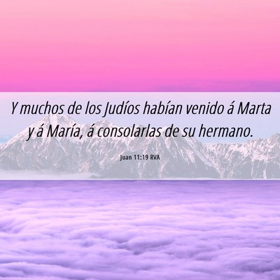 Picture 06 - Juan 11:19 RVA - Y muchos de los Judíos habían venido á Marta y - Bible Verse Picture