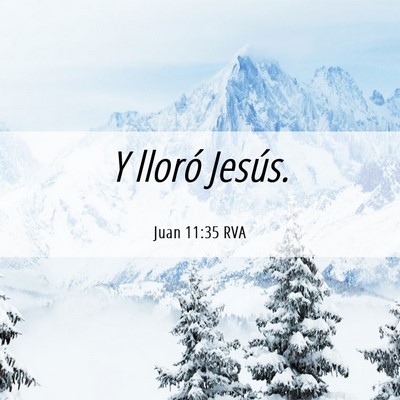 Picture 06 - Juan 11:35 RVA - Y lloró - Bible Verse Picture