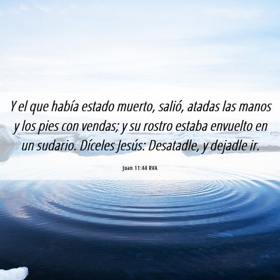 Picture 06 - Juan 11:44 RVA - Y el que había estado muerto, salió, atadas las - Bible Verse Picture