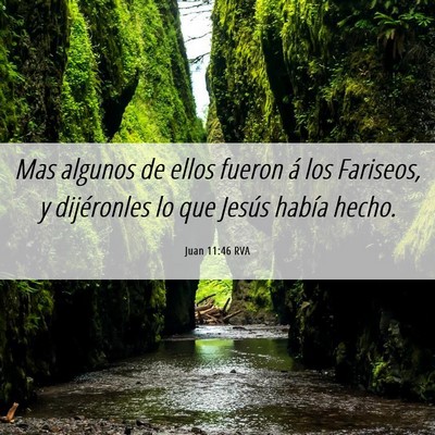 Picture 06 - Juan 11:46 RVA - Mas algunos de ellos fueron á los Fariseos, y - Bible Verse Picture