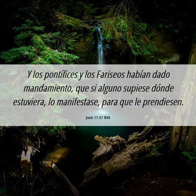 Picture 06 - Juan 11:57 RVA - Y los pontífices y los Fariseos habían dado - Bible Verse Picture