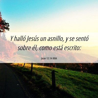 Picture 06 - Juan 12:14 RVA - Y halló Jesús un asnillo, y se sentó sobre - Bible Verse Picture