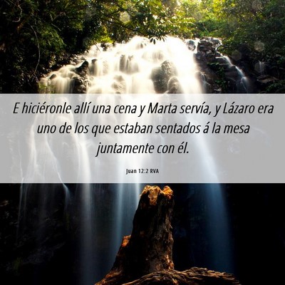 Picture 06 - Juan 12:2 RVA - E hiciéronle allí una cena y Marta servía, y - Bible Verse Picture