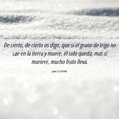 Picture 06 - Juan 12:24 RVA - De cierto, de cierto os digo, que si el grano de - Bible Verse Picture