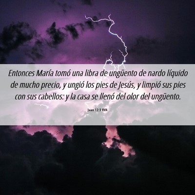 Picture 06 - Juan 12:3 RVA - Entonces María tomó una libra de ungüento de - Bible Verse Picture