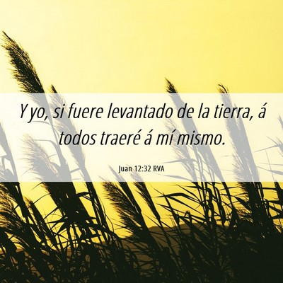 Picture 06 - Juan 12:32 RVA - Y yo, si fuere levantado de la tierra, á todos - Bible Verse Picture
