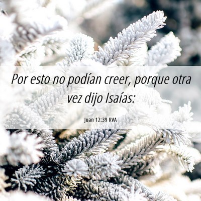 Picture 06 - Juan 12:39 RVA - Por esto no podían creer, porque otra vez dijo - Bible Verse Picture