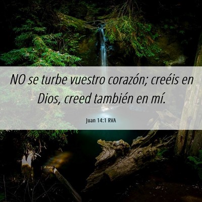 Picture 06 - Juan 14:1 RVA - NO se turbe vuestro corazón; creéis en Dios, - Bible Verse Picture