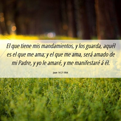 Picture 06 - Juan 14:21 RVA - El que tiene mis mandamientos, y los guarda, - Bible Verse Picture