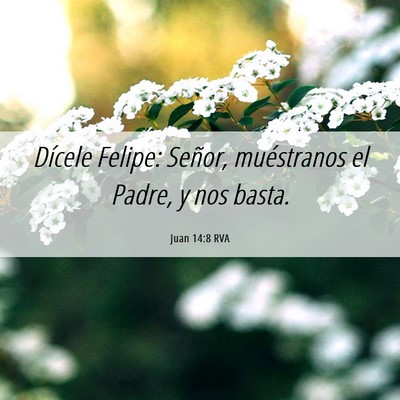 Picture 06 - Juan 14:8 RVA - Dícele Felipe: Señor, muéstranos el Padre, y - Bible Verse Picture