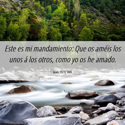 Picture 06 - Juan 15:12 RVA - Este es mi mandamiento: Que os améis los unos á - Bible Verse Picture