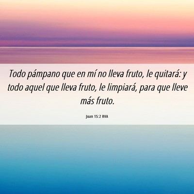 Picture 06 - Juan 15:2 RVA - Todo pámpano que en mí no lleva fruto, le - Bible Verse Picture