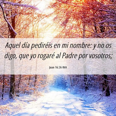 Picture 06 - Juan 16:26 RVA - Aquel día pediréis en mi nombre: y no os digo, - Bible Verse Picture