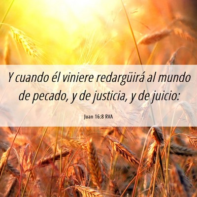 Picture 06 - Juan 16:8 RVA - Y cuando él viniere redargüirá al mundo de - Bible Verse Picture