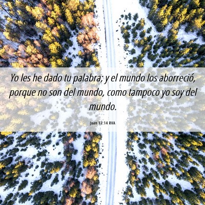 Picture 06 - Juan 17:14 RVA - Yo les he dado tu palabra; y el mundo los - Bible Verse Picture