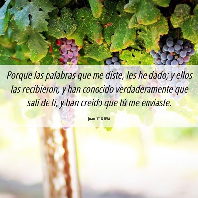 Picture 06 - Juan 17:8 RVA - Porque las palabras que me diste, les he dado; y - Bible Verse Picture