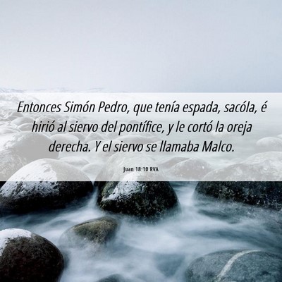 Picture 06 - Juan 18:10 RVA - Entonces Simón Pedro, que tenía espada, - Bible Verse Picture