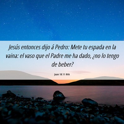 Picture 06 - Juan 18:11 RVA - Jesús entonces dijo á Pedro: Mete tu espada en - Bible Verse Picture