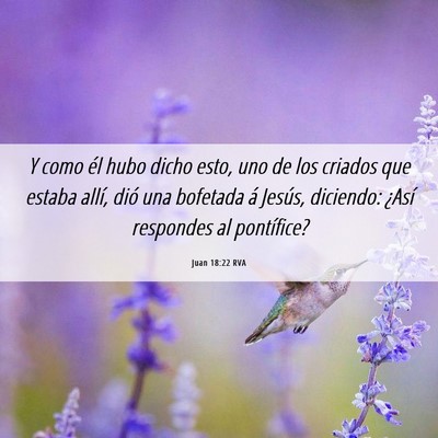 Picture 06 - Juan 18:22 RVA - Y como él hubo dicho esto, uno de los criados - Bible Verse Picture