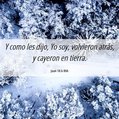 Picture 06 - Juan 18:6 RVA - Y como les dijo, Yo soy, volvieron atrás, y - Bible Verse Picture