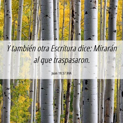 Picture 06 - Juan 19:37 RVA - Y también otra Escritura dice: Mirarán al que - Bible Verse Picture