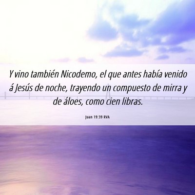Picture 06 - Juan 19:39 RVA - Y vino también Nicodemo, el que antes había - Bible Verse Picture