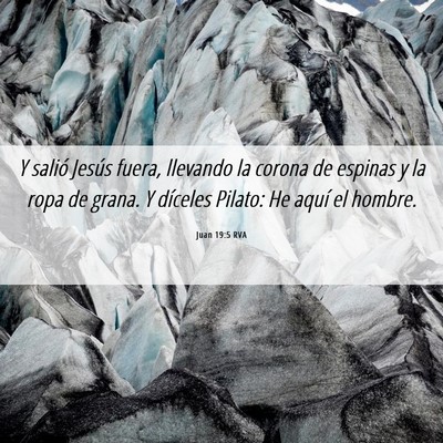 Picture 06 - Juan 19:5 RVA - Y salió Jesús fuera, llevando la corona de - Bible Verse Picture
