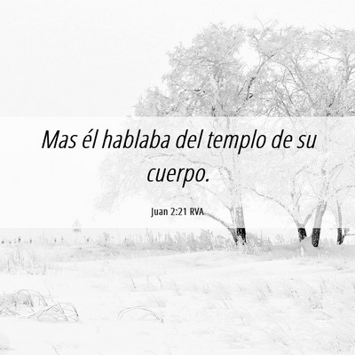 Picture 06 - Juan 2:21 RVA - Mas él hablaba del templo de su - Bible Verse Picture