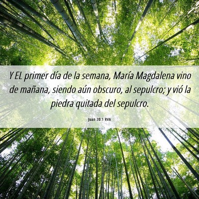 Picture 06 - Juan 20:1 RVA - Y EL primer día de la semana, María Magdalena - Bible Verse Picture