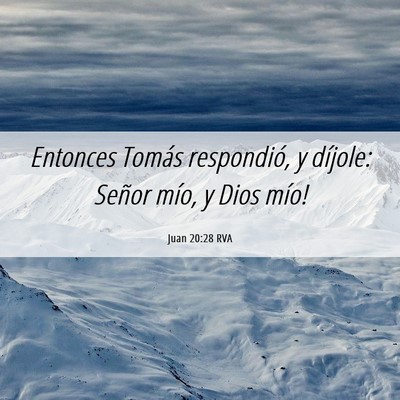 Picture 06 - Juan 20:28 RVA - Entonces Tomás respondió, y díjole: ­Señor - Bible Verse Picture