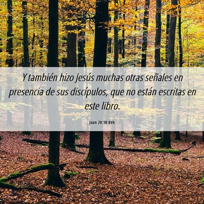 Picture 06 - Juan 20:30 RVA - Y también hizo Jesús muchas otras señales en - Bible Verse Picture