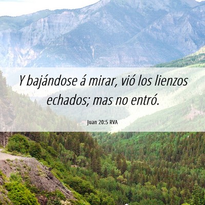 Picture 06 - Juan 20:5 RVA - Y bajándose á mirar, vió los lienzos echados; - Bible Verse Picture