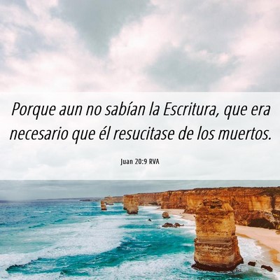 Picture 06 - Juan 20:9 RVA - Porque aun no sabían la Escritura, que era - Bible Verse Picture