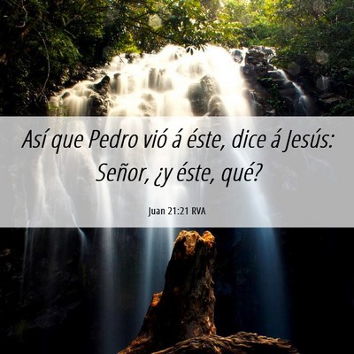 Picture 06 - Juan 21:21 RVA - Así que Pedro vió á éste, dice á Jesús: - Bible Verse Picture