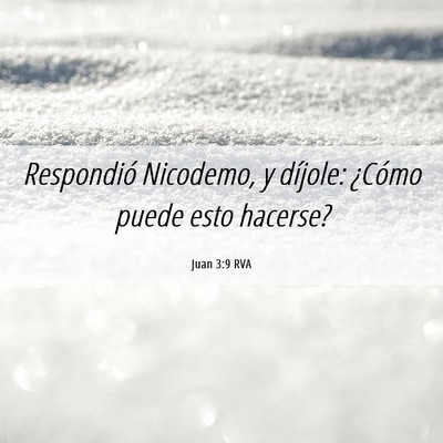 Picture 06 - Juan 3:9 RVA - Respondió Nicodemo, y díjole: ¿Cómo puede - Bible Verse Picture