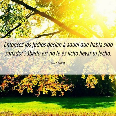 Picture 06 - Juan 5:10 RVA - Entonces los Judíos decían á aquel que había - Bible Verse Picture