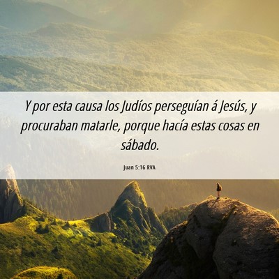 Picture 06 - Juan 5:16 RVA - Y por esta causa los Judíos perseguían á - Bible Verse Picture