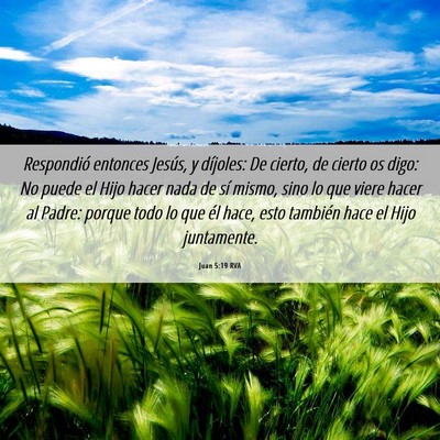 Picture 06 - Juan 5:19 RVA - Respondió entonces Jesús, y díjoles: De - Bible Verse Picture